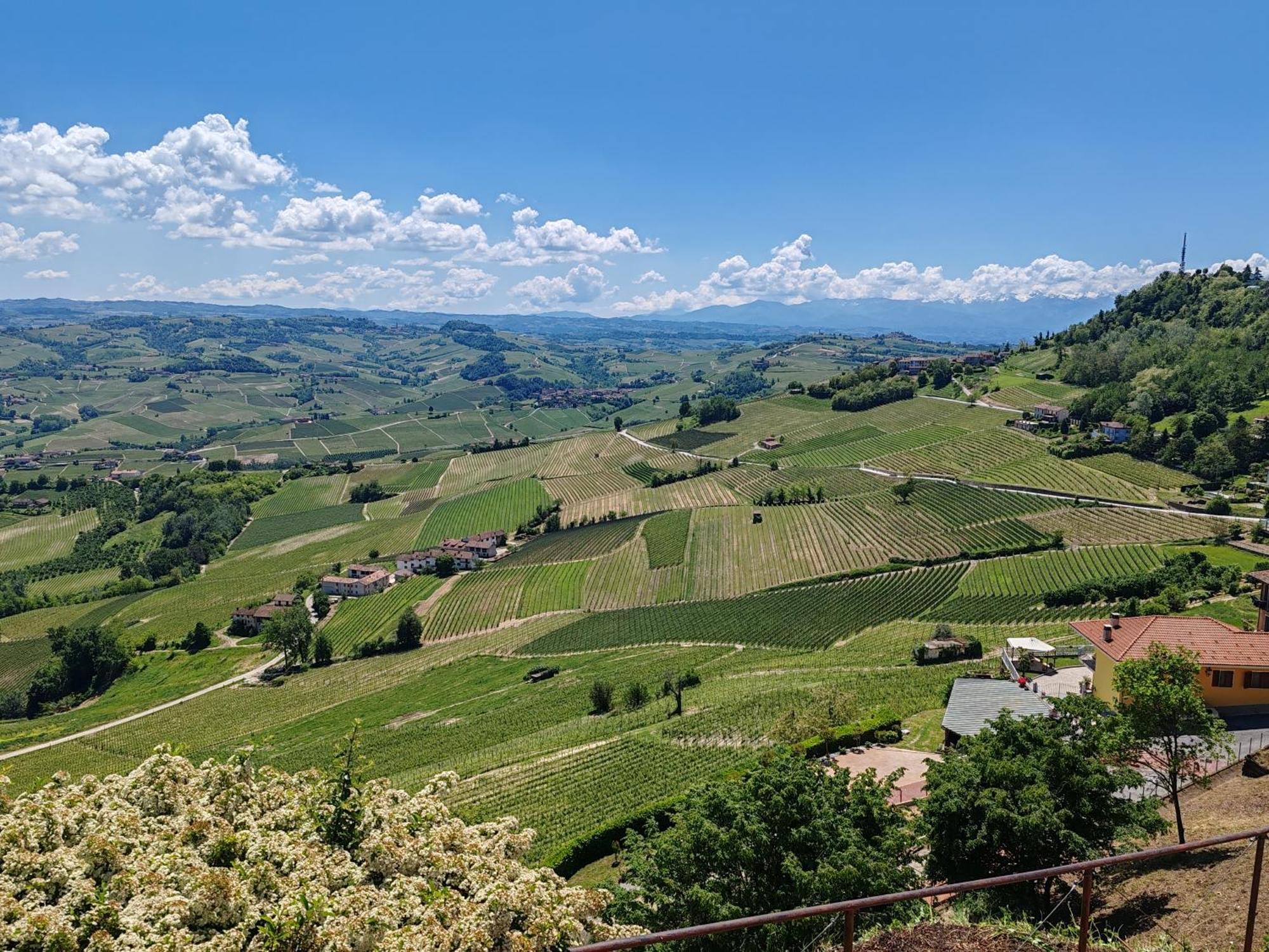 Apartamento Tour In Langhe La Morra Exterior foto