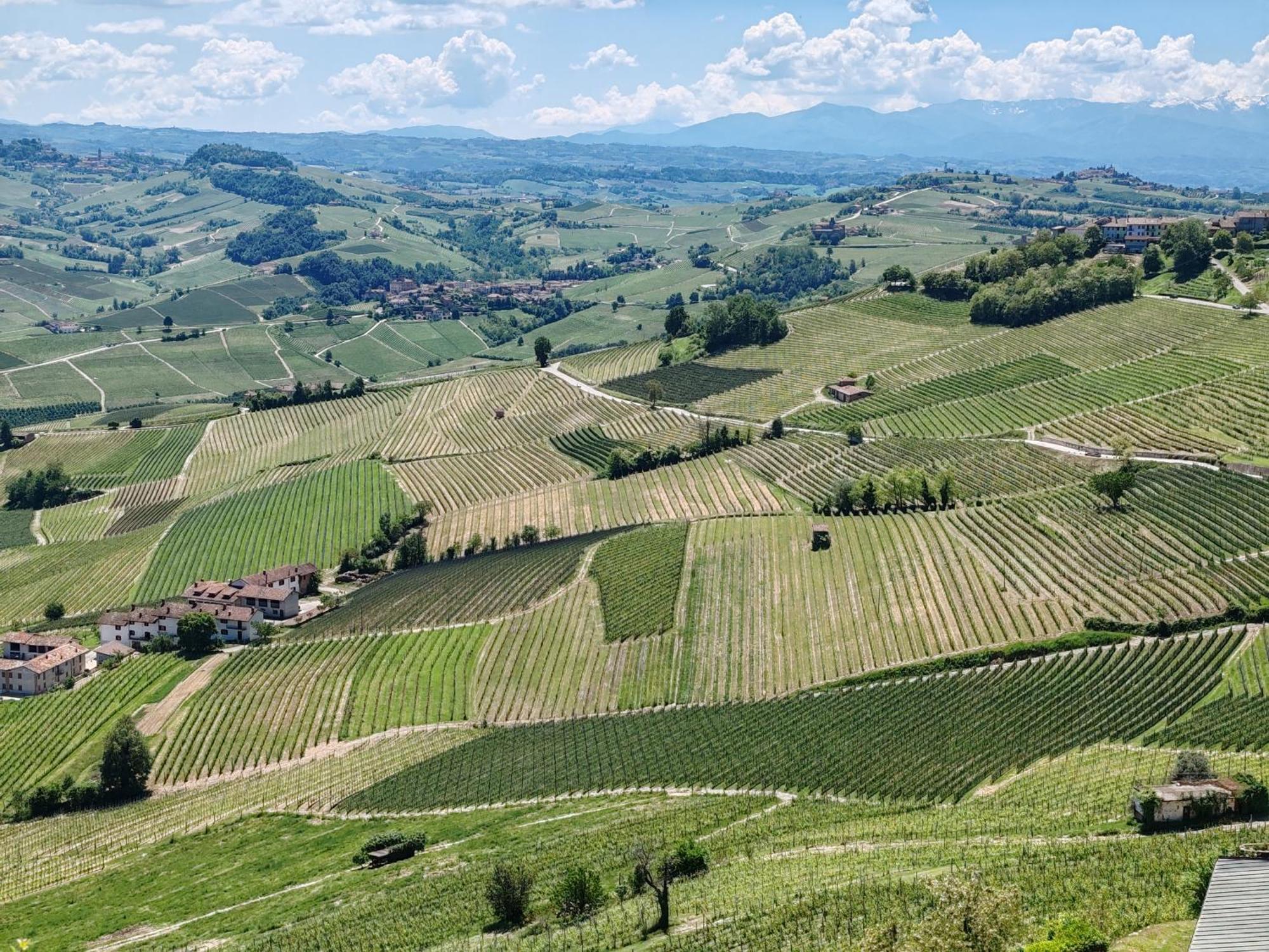 Apartamento Tour In Langhe La Morra Exterior foto
